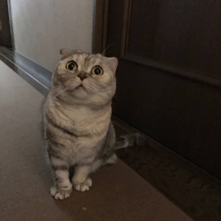 Ce952e7a 4bcd 49f6 9e88 fa15e6d18344