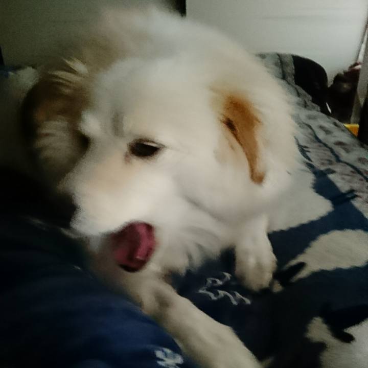 Ce956843 5269 4092 848e 6fdf56e935ab