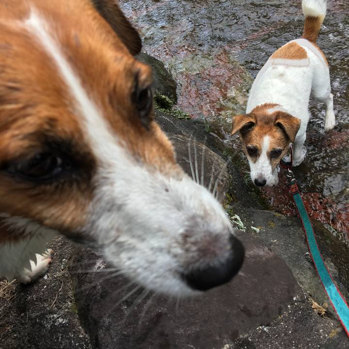 Ce961943 bf56 41de 9108 5ae124e7e9fe