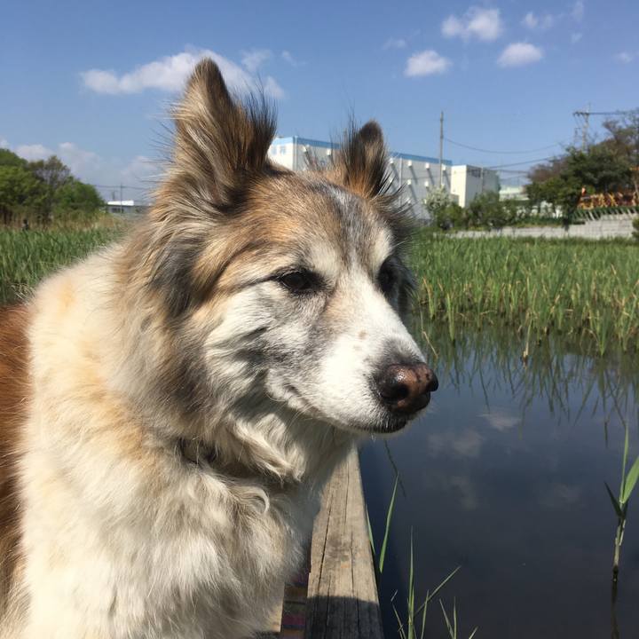 Ce964f7d 6f49 4b80 bf03 a261cfaf4f99