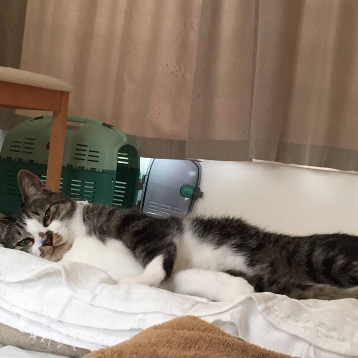 Ce965656 9c26 4e18 a828 53933626f93c