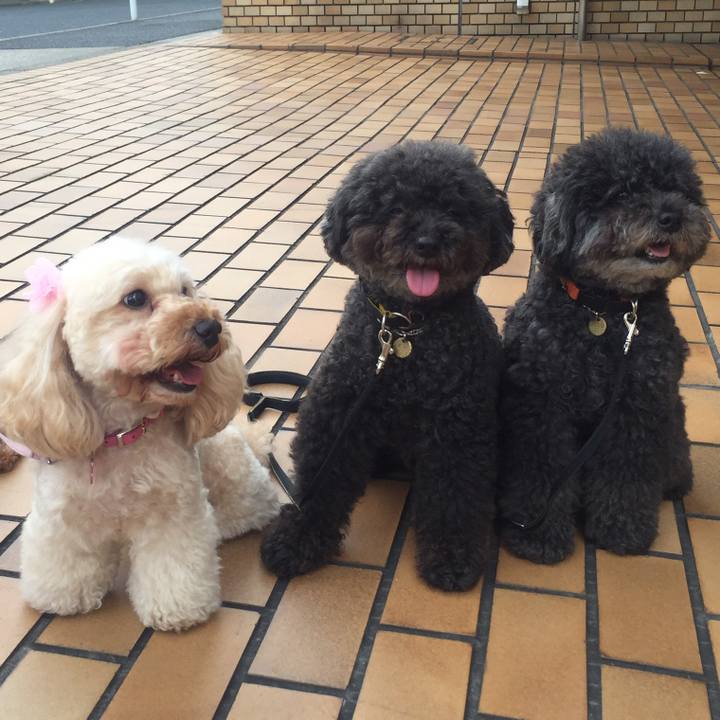 Ce96aa1e 1442 4cf4 b6fd 03c9cc110157