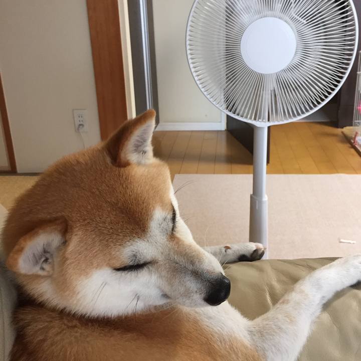 Ce96f220 bcc3 433b 8cb4 5f0395b659f9