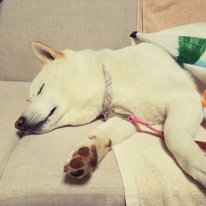 Ce9714de 5549 4347 97da d1b27bc9e40d