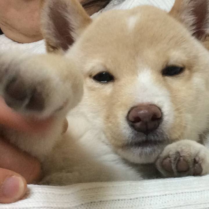 Ce976b8a cd79 4bc0 81fe 999460d8d1eb