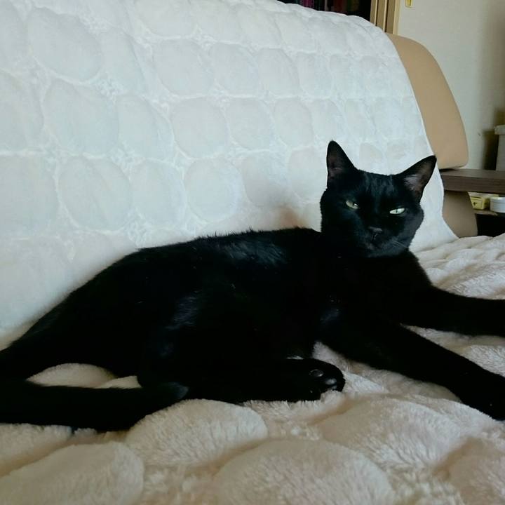 Ce97adc5 63ee 4377 a9b0 fe47df3d38d0