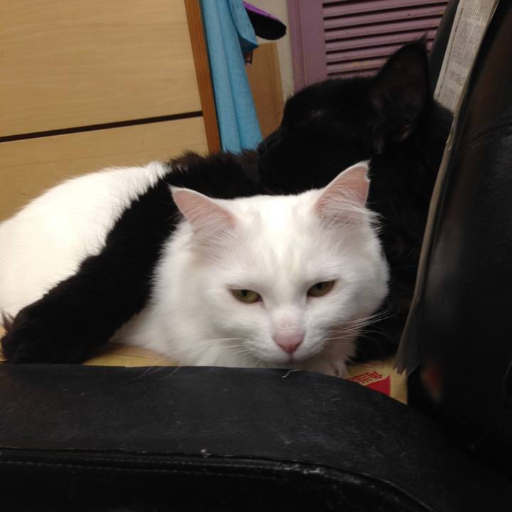 Ce97c56f c235 408f 80b9 55674eb71c7f