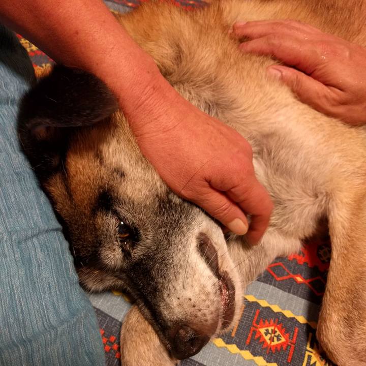 Ce984d5b 768d 4475 af9a ec2dca19d122