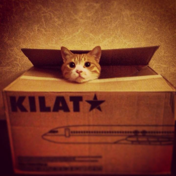 Ce9857da 532e 4ebf 8e0a 3d1e8e8059e3