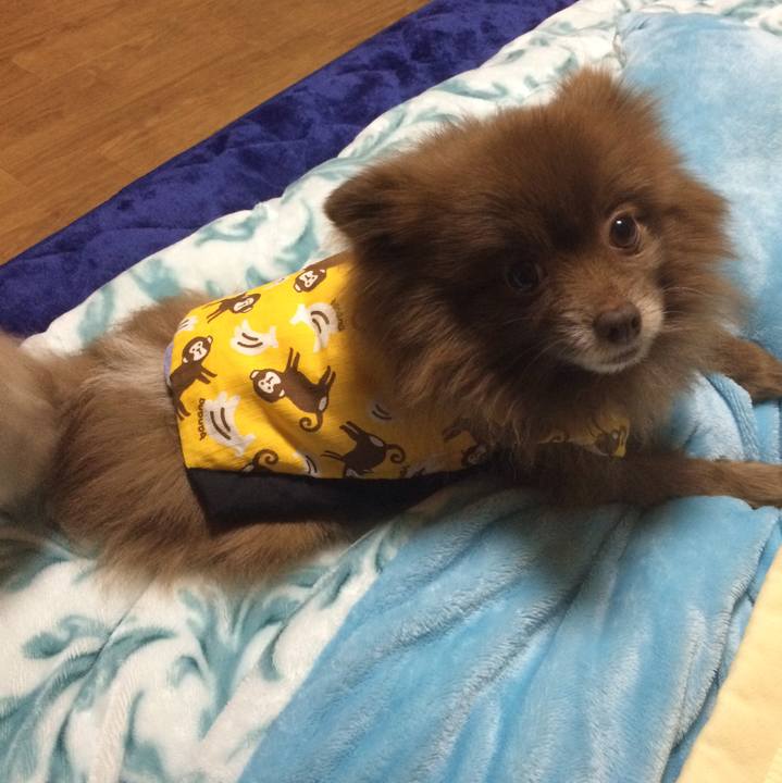 Ce9879b8 6301 42d9 99a5 ed386e243abb