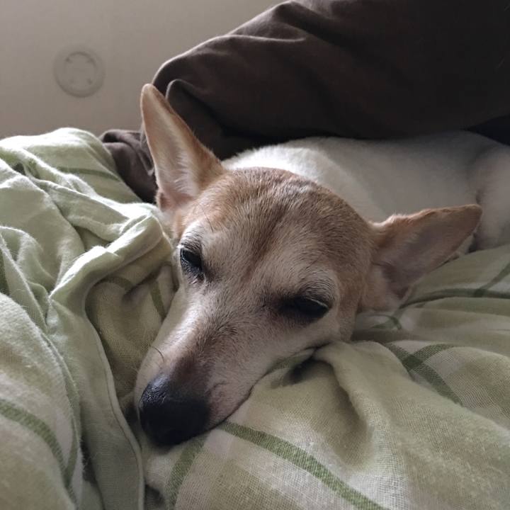 Ce98a32c 9934 42b2 99d1 97c4b69ed9b3