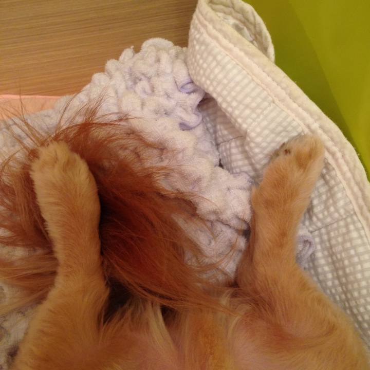 Ce98d5db e92a 416f 912e 08fc771c1480