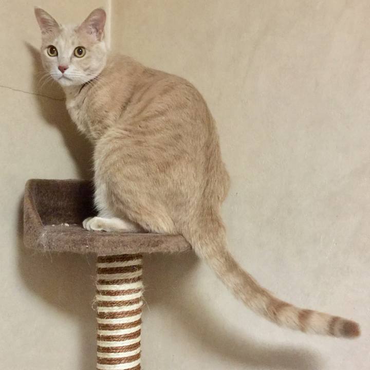 Ce9986cc 7932 4688 91a4 dab94eea4e86