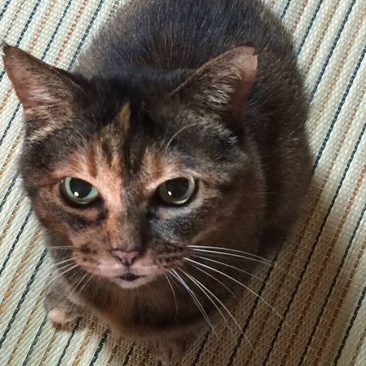 Ce9a4730 964c 4186 9d40 c3e5f5e5cd74