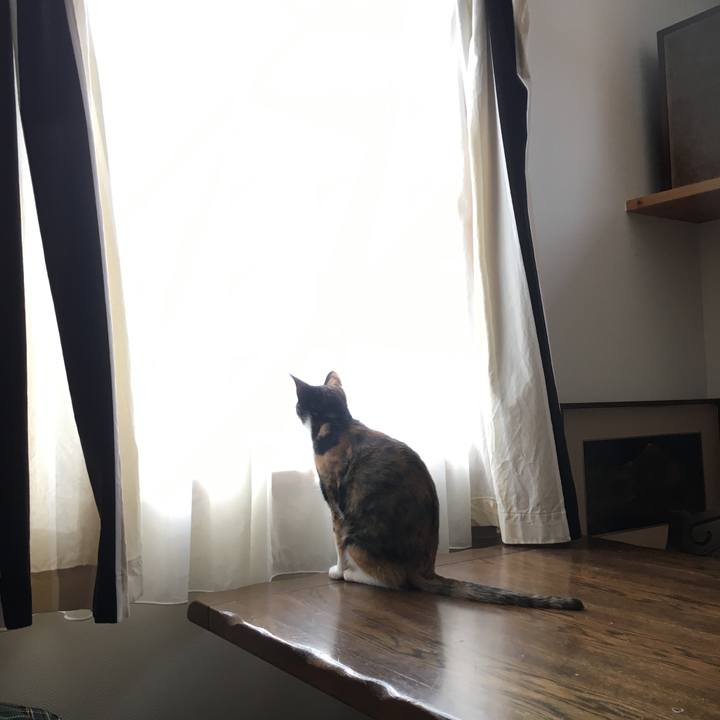 Ce9afe6d 6446 4653 98ac 9b1dd3cc58fa