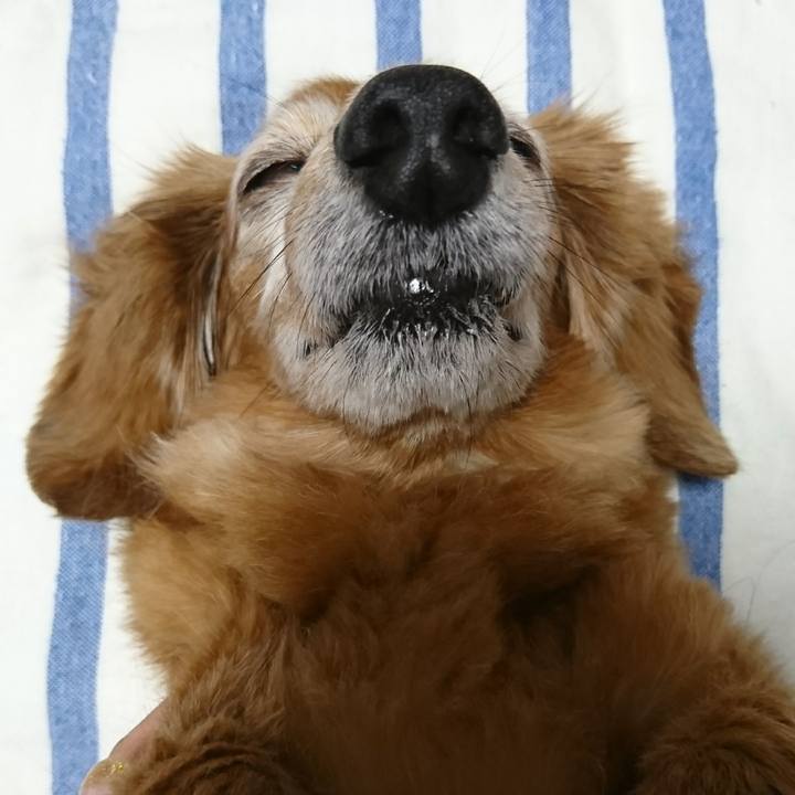 Ce9c3465 7e6a 45ef 8e37 b9ecb6f40611