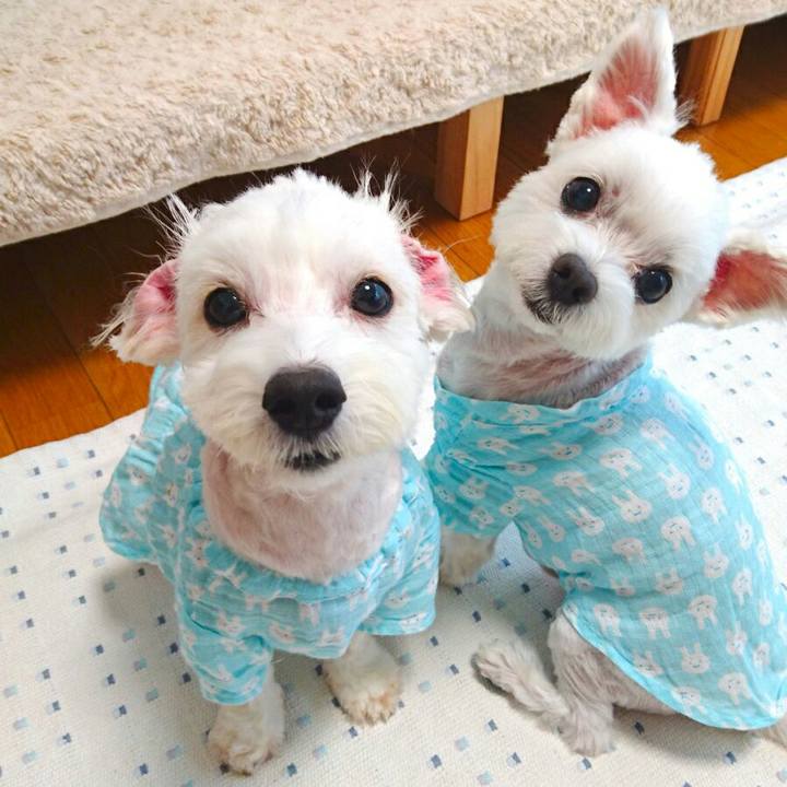 Ce9c6631 38c9 402c 99d9 437ea2e26c99