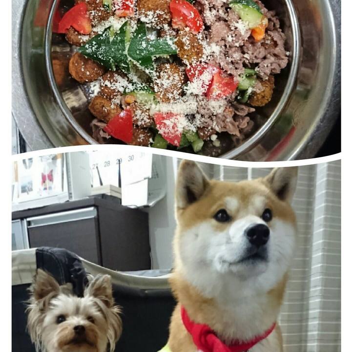 Ce9cad34 f2fa 4396 a47a a8d7947bb94c