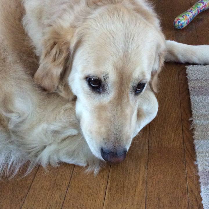 Ce9ce379 bf76 4236 a884 7049682ce700