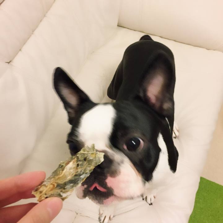 Ce9d3650 98fb 4f93 a12d 968b2beccd5a