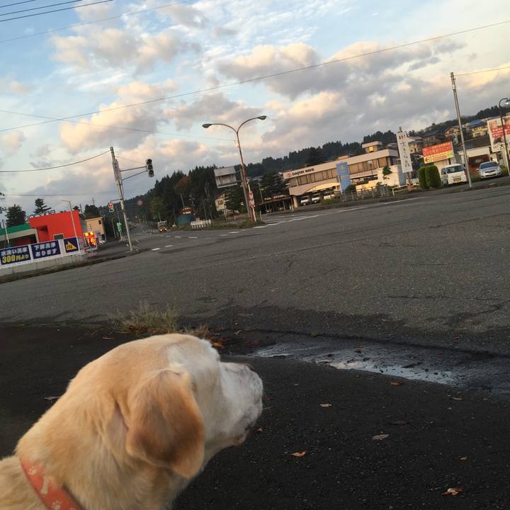 Ce9e205d 46cd 4ae7 b085 014326dd6214