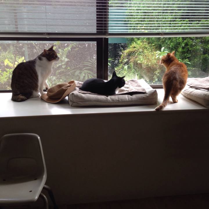 Ce9e2a25 1bb0 497d bf86 0c0b2f91591e