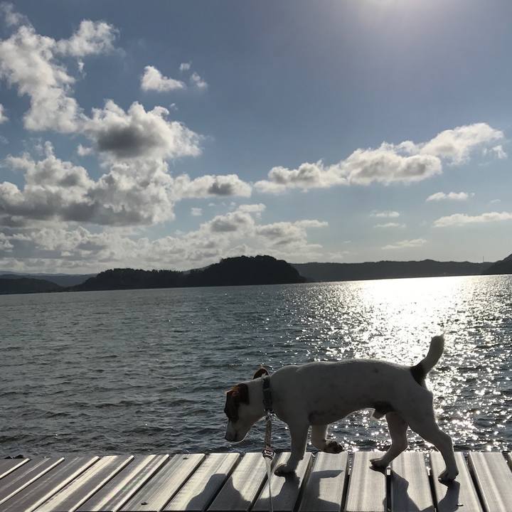 Ce9f2a60 62af 4a88 8187 f7909c0a9d36