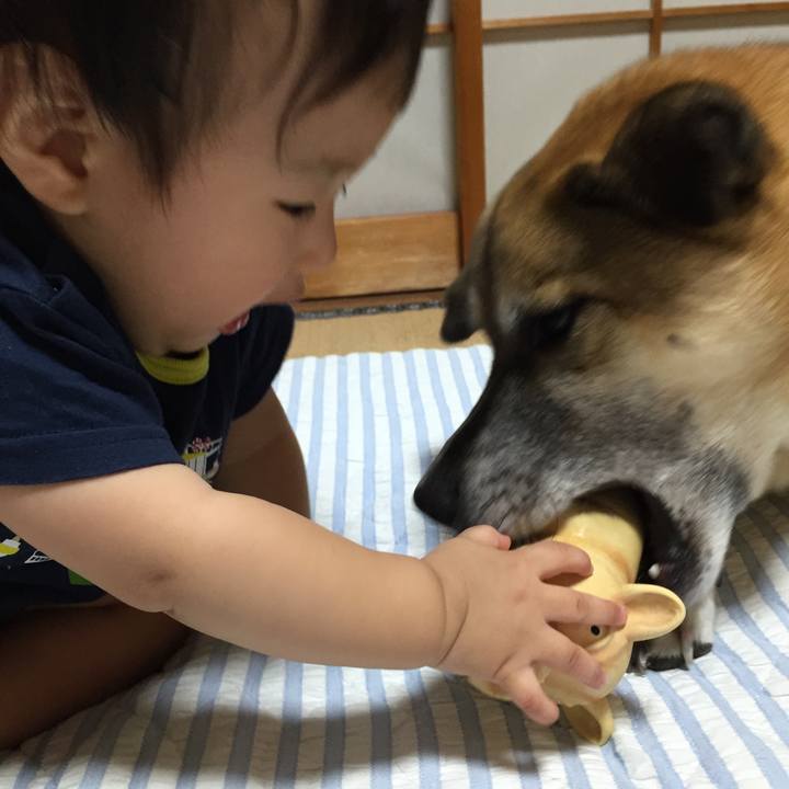 Ce9f3cda fe29 4aa1 9588 b9aabc488cc2