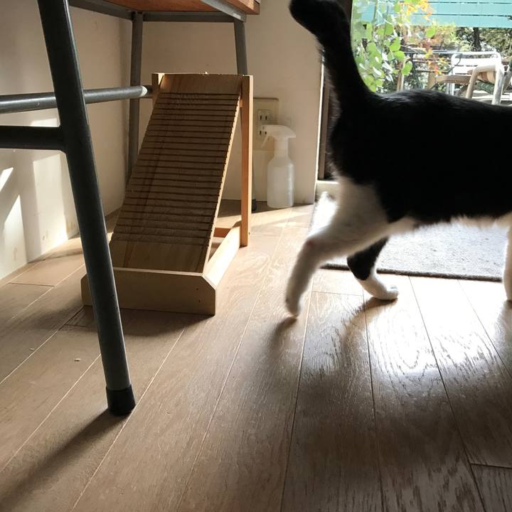 Ce9f5f82 c058 4f4a ae8e f048215d53f9