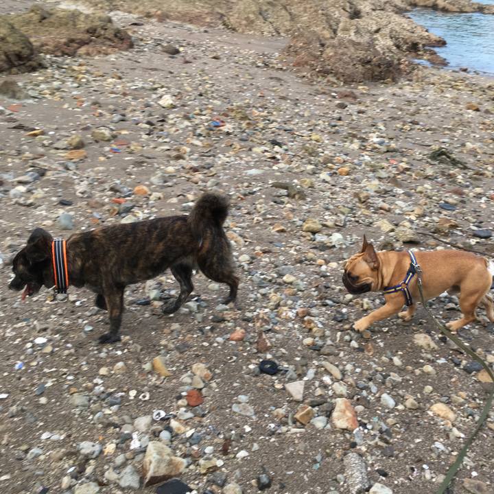 Ce9fe9d5 1206 45e6 9ad5 cec2118c8502