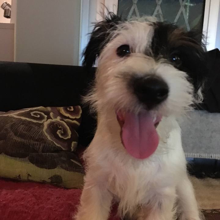 Ce9ffcf8 c623 43d9 812f 92ebaa6f0768