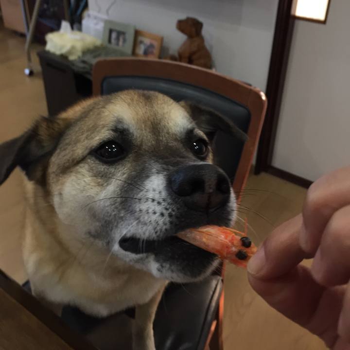 Cea02985 b0d6 46f4 a3ac 893093f76a96