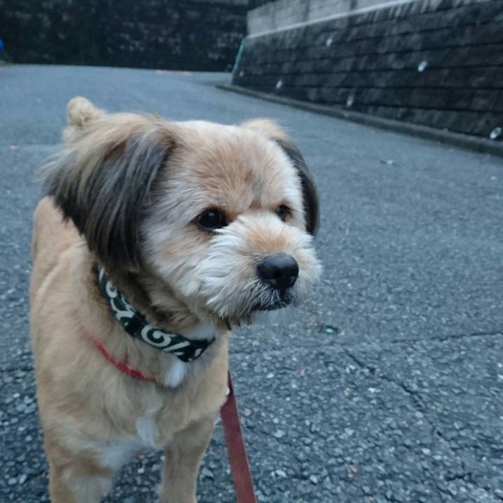 Cea03371 3b4f 47a9 9795 37e12108ece0