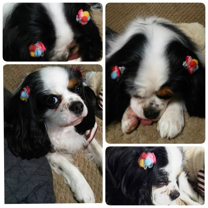 Cea09d49 0476 4304 9283 7a7970f83c44