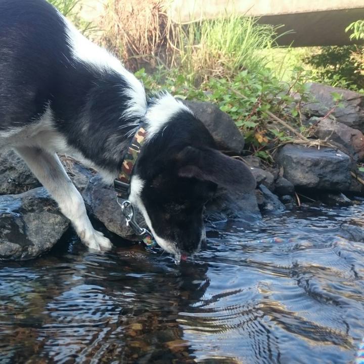 Cea0aea3 f285 4186 981b 016640baa915