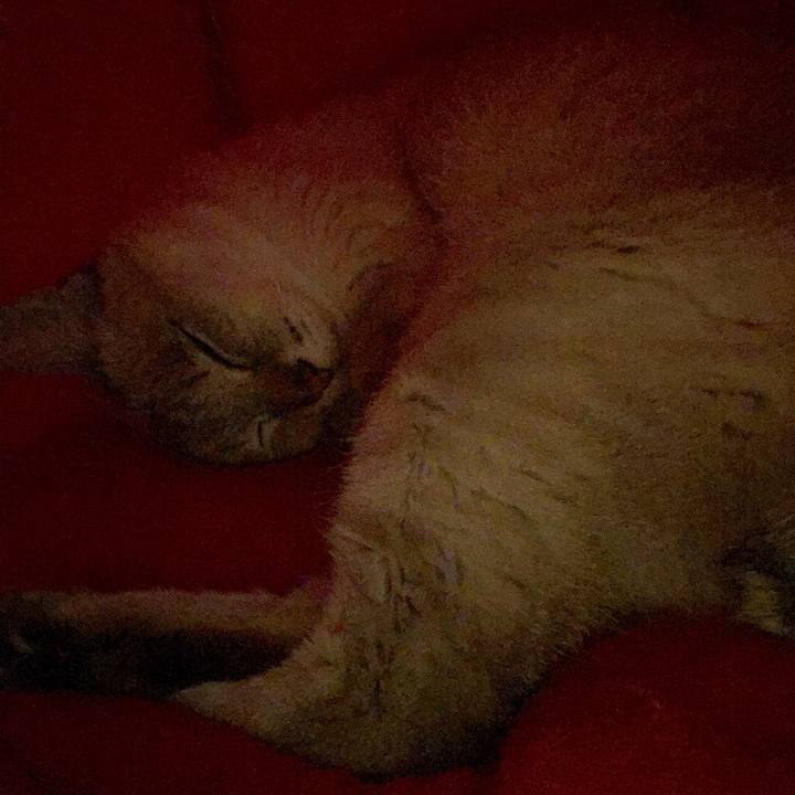 Cea13fcc 33f4 4f3f ad0e 68aae6dc9a1e