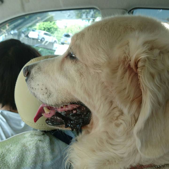 Cea17318 69d5 42f6 9d98 06664d8f5766