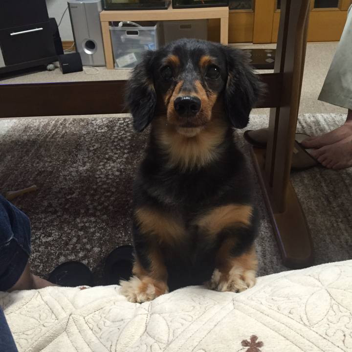 Cea21cbf 1be0 495c 8396 03852cd53a19