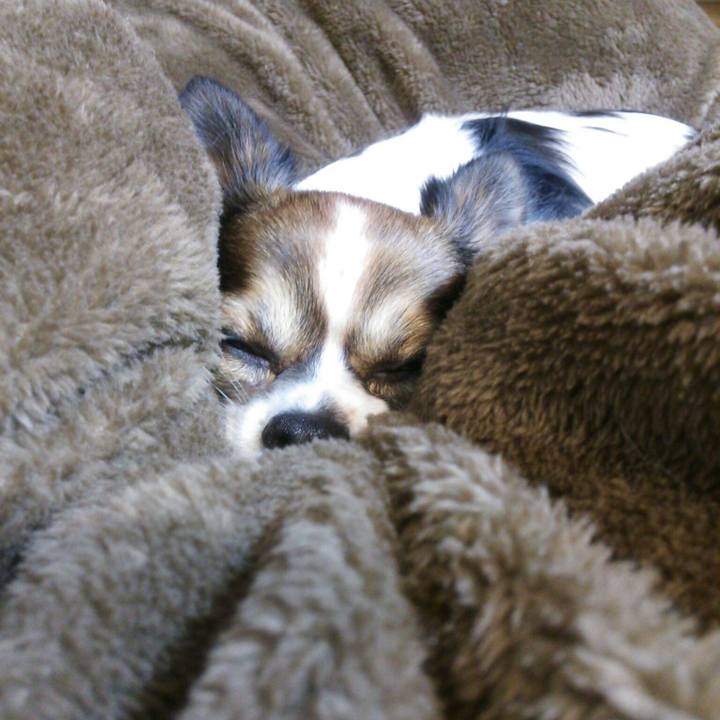 Cea30466 9a28 4bdc 8f85 12c8d02350b7