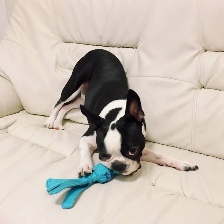 Cea3b90a d668 4411 8402 4456b80baa61