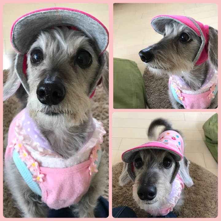 Cea48b63 7afe 4901 8ee2 c7dc95f4b8dc