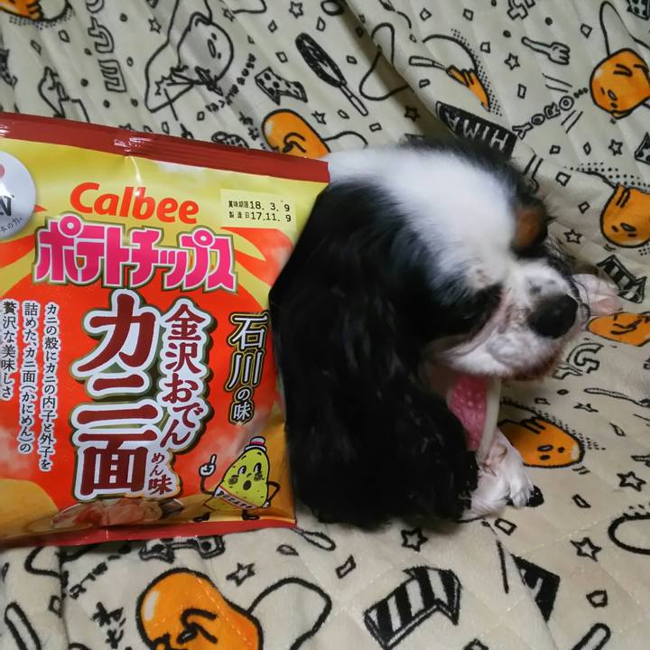 Cea65055 9a1c 4732 94e0 321a03f75881