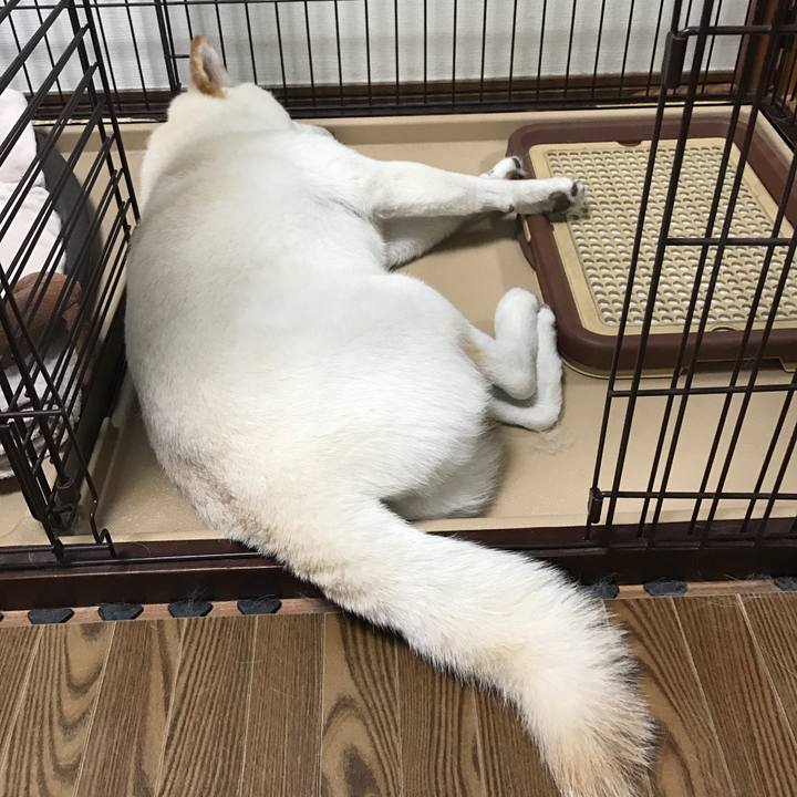 Cea6dacc 1d8a 4e78 9ddf 8afb7921aecf