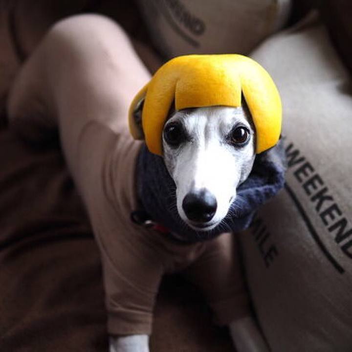 Cea7dacd e880 4a06 a1b1 32dc0c8e1a0d