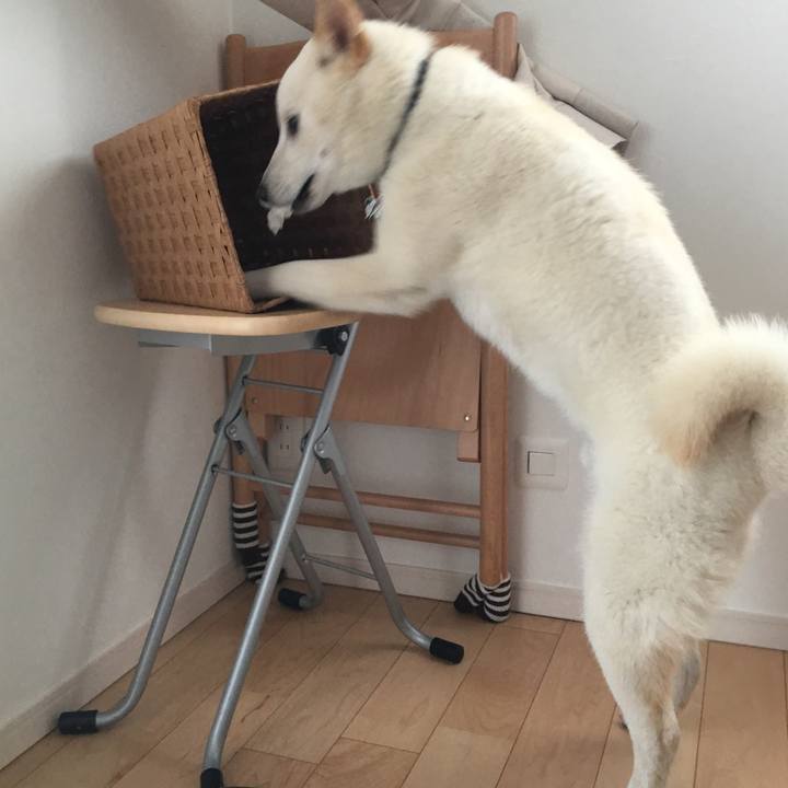 Cea7eff0 69d1 47b0 852a 47eeb3c48716