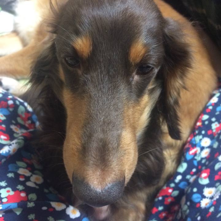 Cea8827e d189 4c35 9c83 7a555a06e5bb