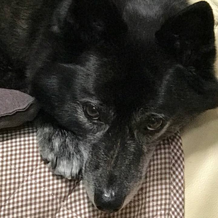 Cea8c761 bee8 4cad a8eb 5c440c57ee17