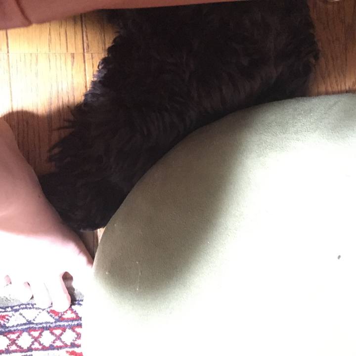 Cea8ff37 293a 4a51 b72d 1a5c65651e17