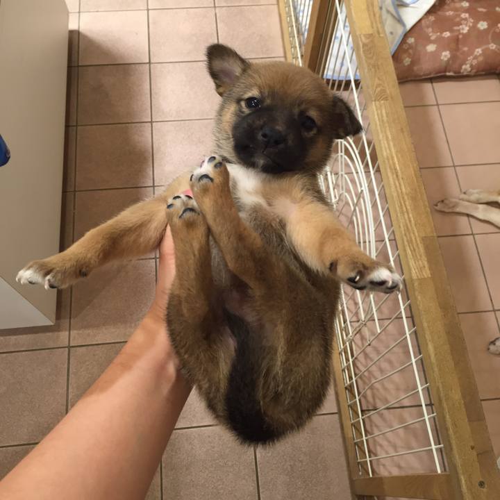 Cea93d9d 307d 43d0 b84c d23c1c7efd85