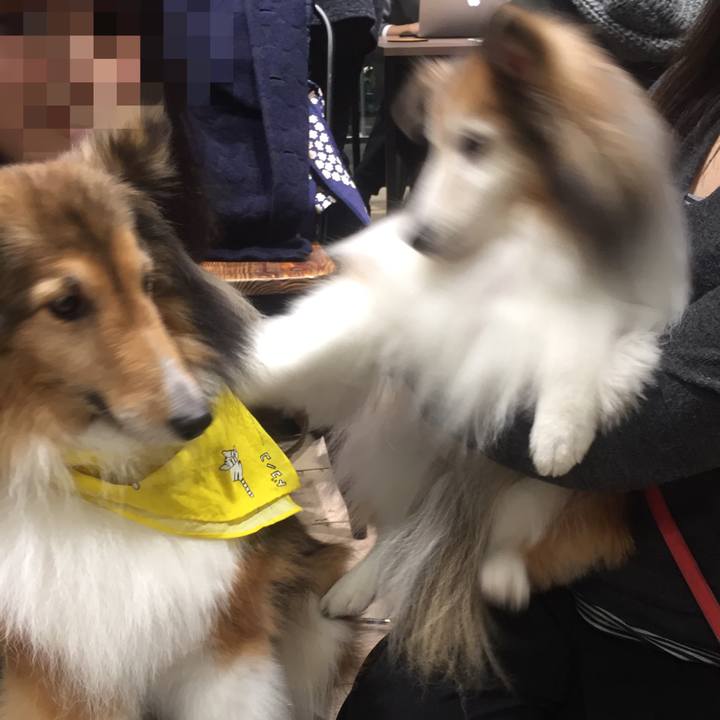 Cea944b1 6e12 4619 97dc 12dfaefcff87